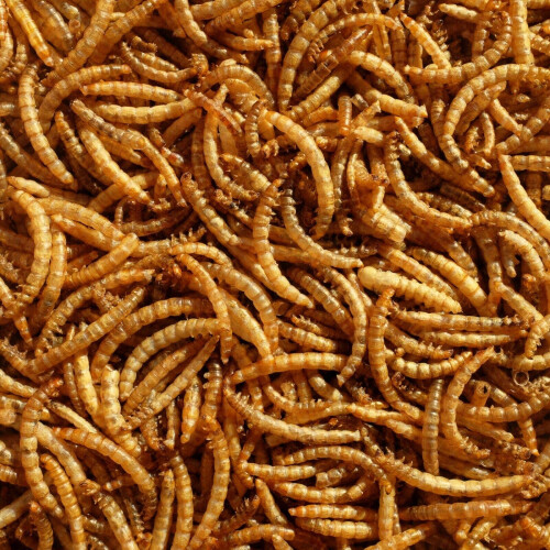 Pet Ting Premium Dried Mealworms, 7.5 Litre