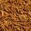 Premium Dried Mealworms, 5L Bag 1