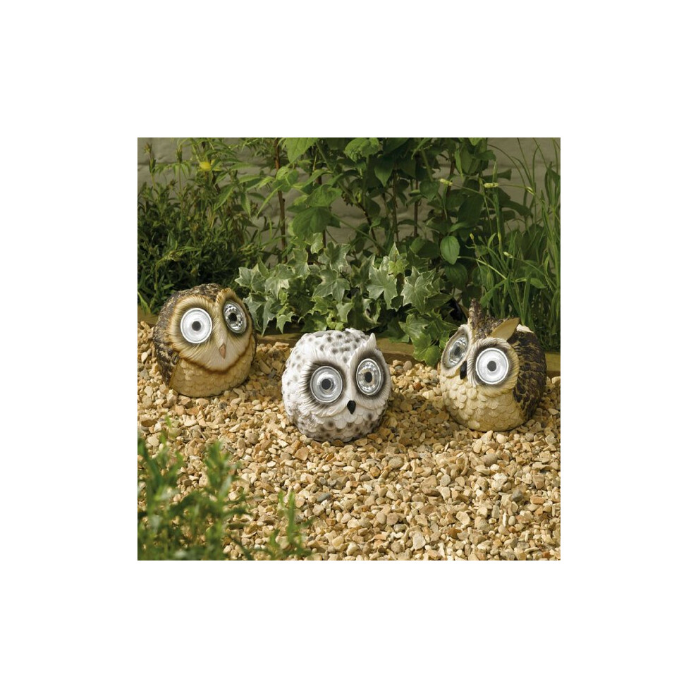 Smart Solar Bright Eye Owl Spotlight LED Garden Decoration Set of 3