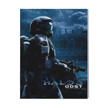 (Halo 3 ODST=110) Canvas Print Framed DIY Install Kit- 16x20" Gamer Wall Art Home Decor Gaming Aesthetic Poster for Office Bedroom Living Room Bathroom