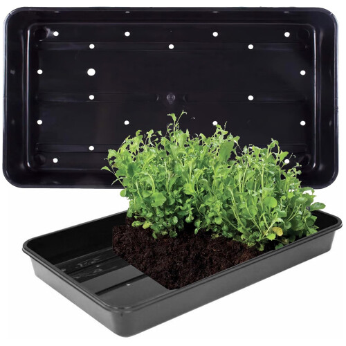 12 x Plastic Heavy Duty Seed Trays With Strong Rim For Extra Rigidity