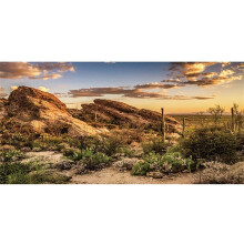 Awert Reptile Habitat Baggrund Blue Sky Oasis Cactus Sun and Desert Terrarium Baggrund 36x18 inches Holdbar polyester baggrund