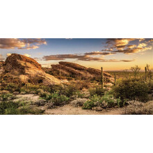 Awert Reptile Habitat Baggrund Blue Sky Oasis Cactus Sun and Desert Terrarium Baggrund 48x18 inches Holdbar polyester baggrund