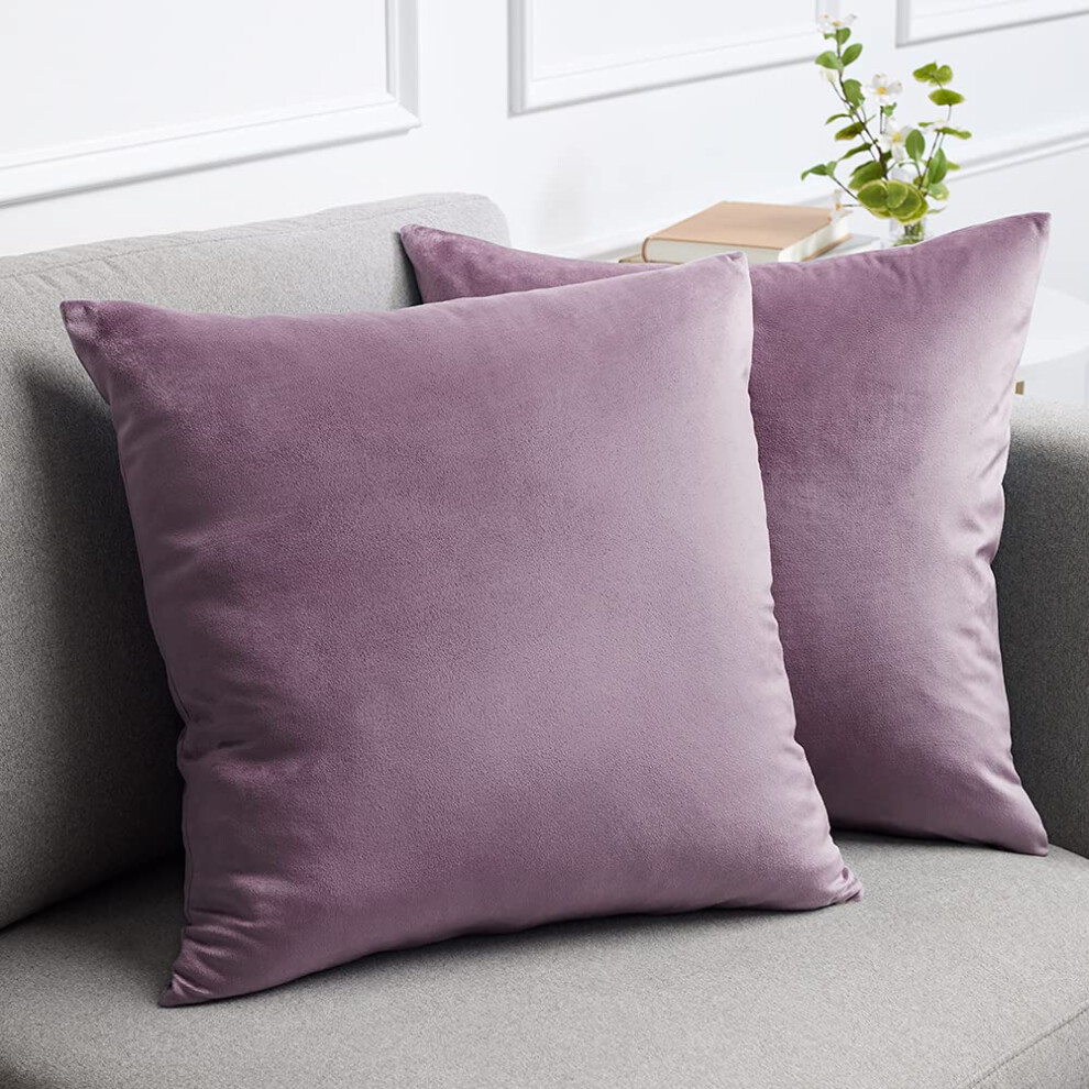 LalaLOOM Lot de 2 taies d'oreiller en velours doux et d   coratifs pour canap   , chambre     coucher, salon, lavables, 50 x 50 cm, prune et violet