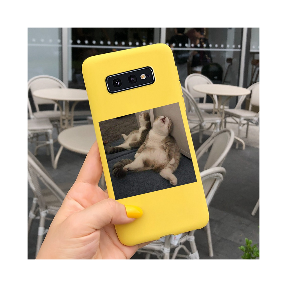 (Case-C18, For Samsung S10 Plus) Case For Samsung Galaxy S10 Plus S10e S10+ Cover S 967854750829