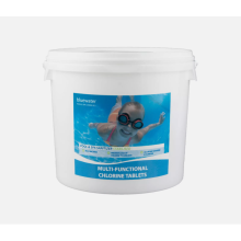 Multifunctional Chlorine Tablets Algaecide Swimming Pool Chemicals 2KG