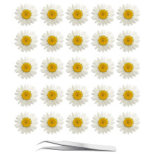 60st Vita Torkade Daisy Pressade Blommor - YouthBro 60st Real Nature Flowers Set f?r Harts DIY Smycken Ljus Tv?l Vas Tillverkning Nagelkort Scrap