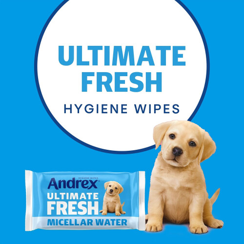 Andrex ‎Andrex Classic Clean Washlets Wipes, 12 x 36 Pack 1