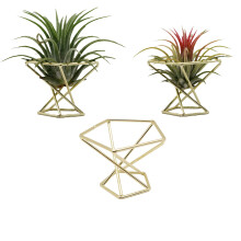Nwsrayu Geometric Air Plant Holder Airplants Rack Metal Plants Stand Planter Shelves Himmeli Living Decor Tillandsia Pot Containers Gold 3pcs