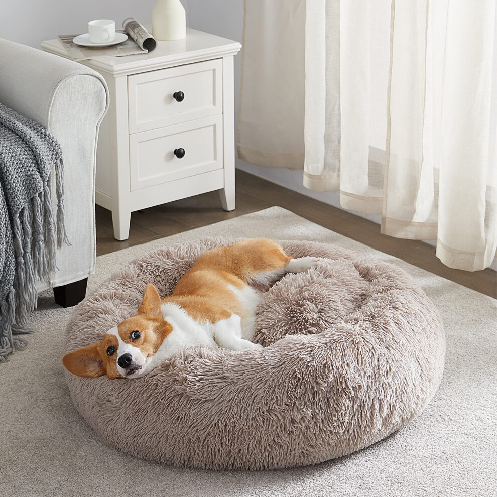 WNPETHOME calming Dog Bed  cat Bed Small Dog Bed Donut Design Faux Fur Anti-Anxiety Dog Bed Fluffy Dog cushion Pet Bed for Small Dogs and cats 20 x 20-image-OPC-PFM55TK-NEW