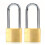 ABRAFOX L?s Solid Messing N?glet Forskellig Lang Shackle h?ngel?s -(1-9/16 tommer 40mm 2pack 1