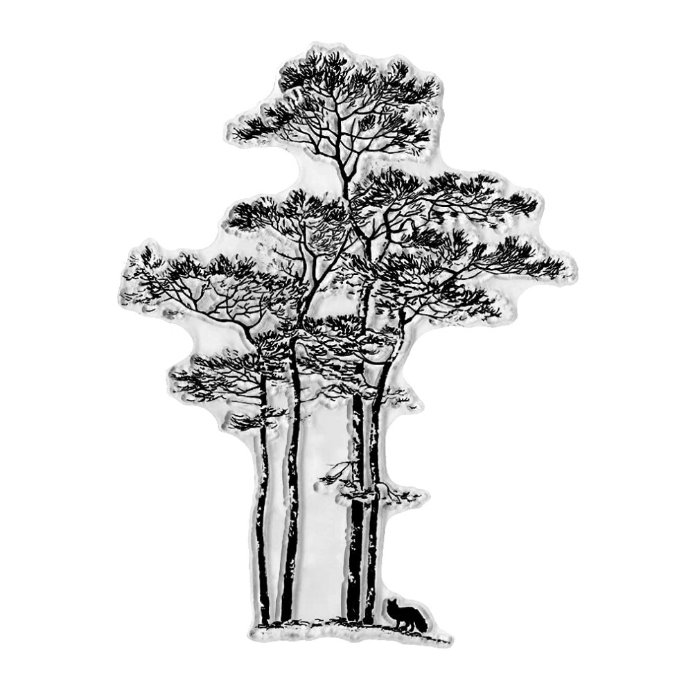 Tree Fox B