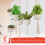Planchers de plante de macrame feeche 3