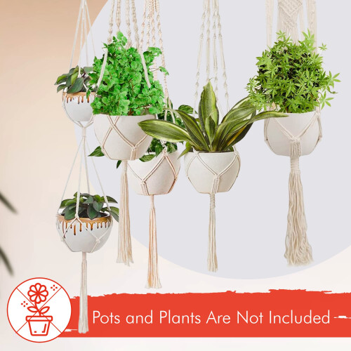 Planchers de plante de macrame feeche 2