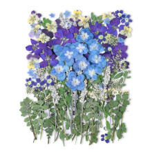 100 stuks echte gedroogde geperste bloemenbladeren, natuurlijk plantenherbarium voor doe-het-zelf harsmal sieraden maken, 20 stijlen - blauw