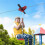 160ft Zipline Equipment Set 5