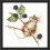 Bothy Threads Cross Stitch Kit - Brambles 1