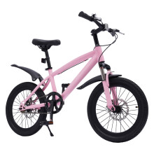 18inch Pink Children's Mountain Bike