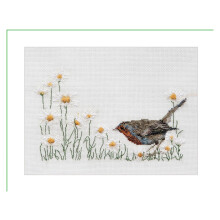 Thea Gouverneur - Counted Cross Stitch Kit - Summer Robin Bird - Aida - 16 Count - Embroidery Kit for Adults - DMC Embroidery Threads and Other Cross
