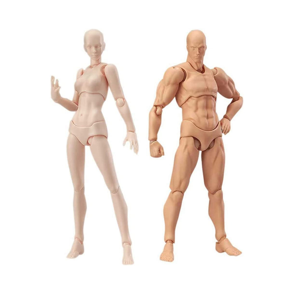 Torribaly Body Doll, Artists Manikin Blockhead Jointed Mannequin Drawing Figures Male+Female Set (Skin Color)