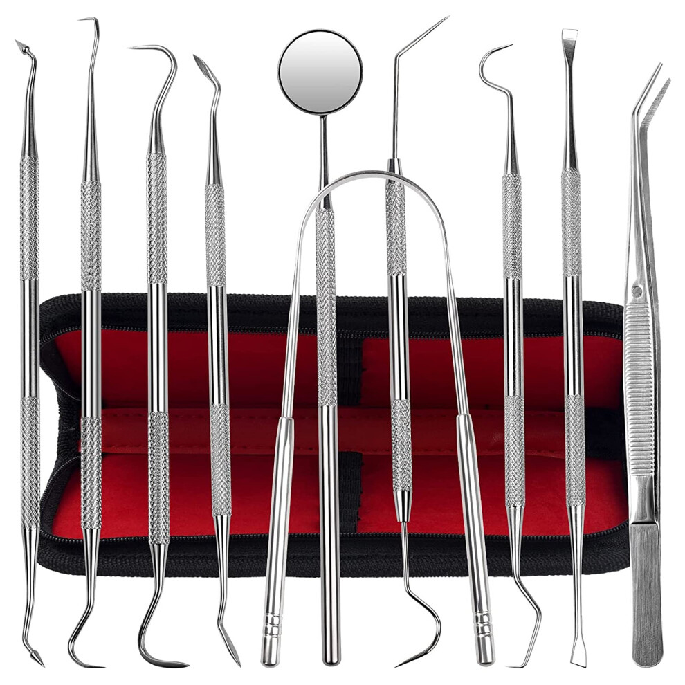 Outils dentaires, lot de 10 outils de nettoyage des dents en acier inoxydable, kit d'hygi   ne bucco-dentaire avec nettoyeur de plaque, cure-dents,