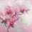 Luca-S Kit de broderie Orchidées gracieuses 1