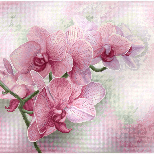 Luca-S Kit de broderie Orchidées gracieuses