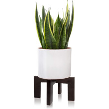 2 emballages Plante Stand interieur exterieur du milieu du siecle Stand pour plantes interieures en bois Plant de plante moderne tabouret de plan