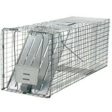 Kingfield International 130797 32 x 12 x 10 in. Live Animal Cage Trap with 1 Door Design, Silver