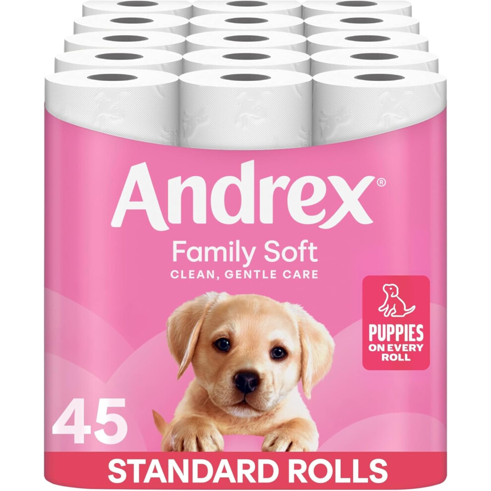 Andrex Family Soft Toilet Tissue 45 Rolls (Previously Gentle Clean) Gentle On Your Familys Skin Bulk Pack Of 45 Toilet Rolls, Fsc Certified