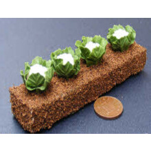 1:12 Scale Strip Of 4 Cauliflowers Tumdee Dolls House Vegetable Garden