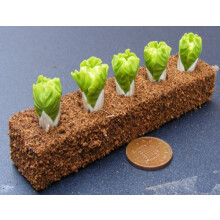 1:12 Scale Strip Of 5 Lettuce Tumdee Dolls House Vegetable Garden
