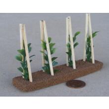 1:12 Scale Strip Of 4 Runner Bean Plants Tumdee Dolls House Vegetables