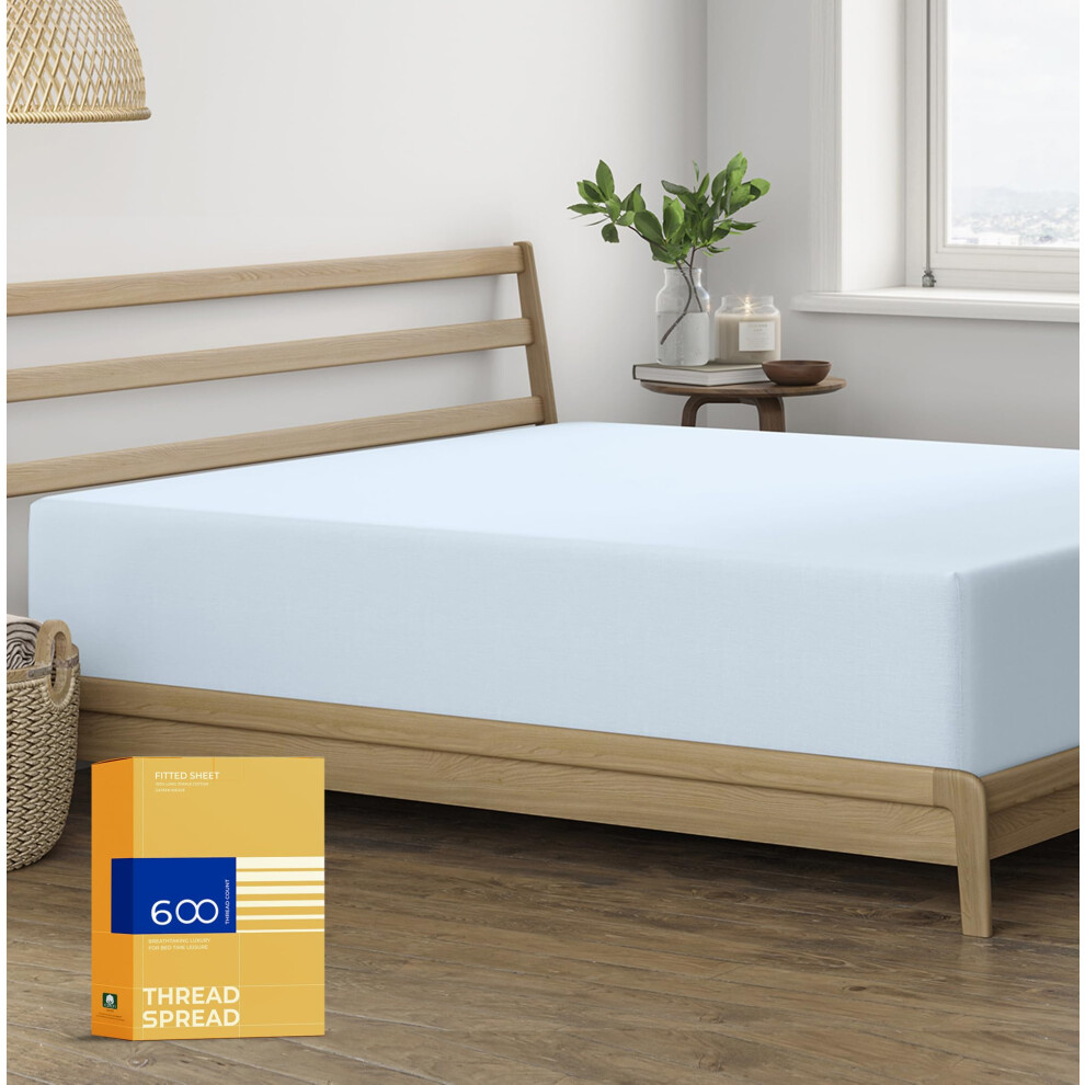 Drap-housse 100 % coton    gyptien pour lit double - 600 fils au pouce carr    - 40,6 cm de profondeur - Drap-housse en satin doux et rafra   chissant