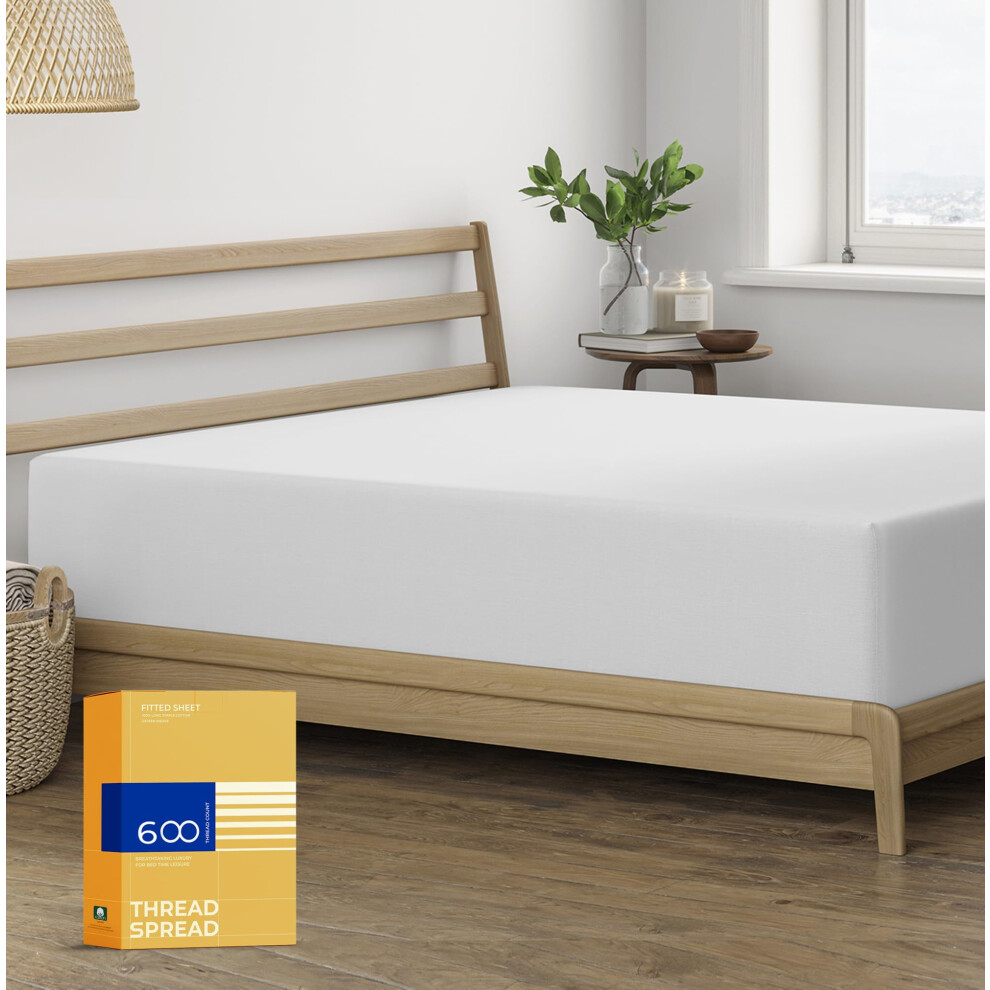 Drap-housse 100 % coton    gyptien pour lit double - 600 fils au pouce carr    - 40,6 cm de profondeur - Drap-housse en satin doux et rafra   chissant