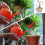 4Pcs Universal Garden Watering Can Rose Replacement,Watering Spout Cap Nozzle Replacement Tool 7