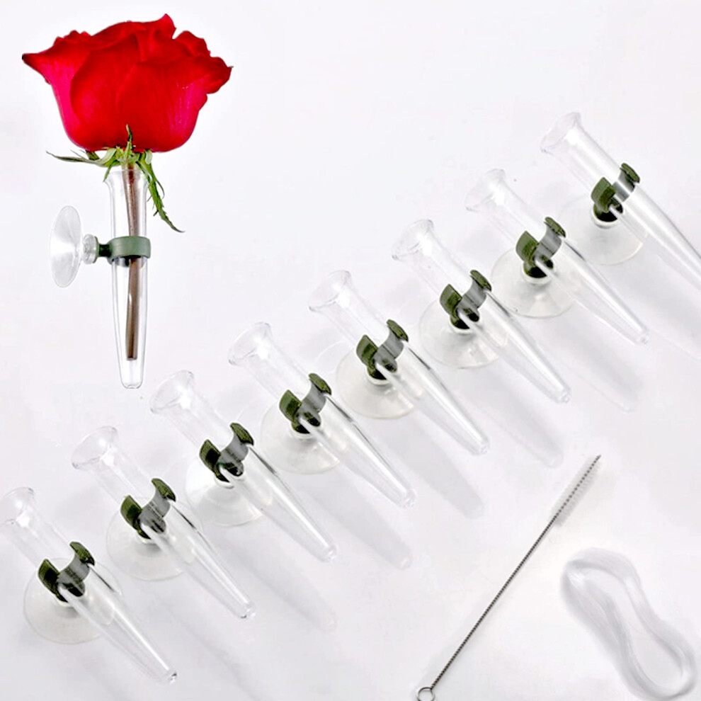 ALL SPECIAL 8 pcs Flower Water Tubes - Clear Floral Tubes Wall-Hanging Floral Water Tubes Flower Tubes with Suction Cup Hydroponics Vases Plant Stand