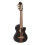 Ortega RGL5 EB-CE - Guitalele 1