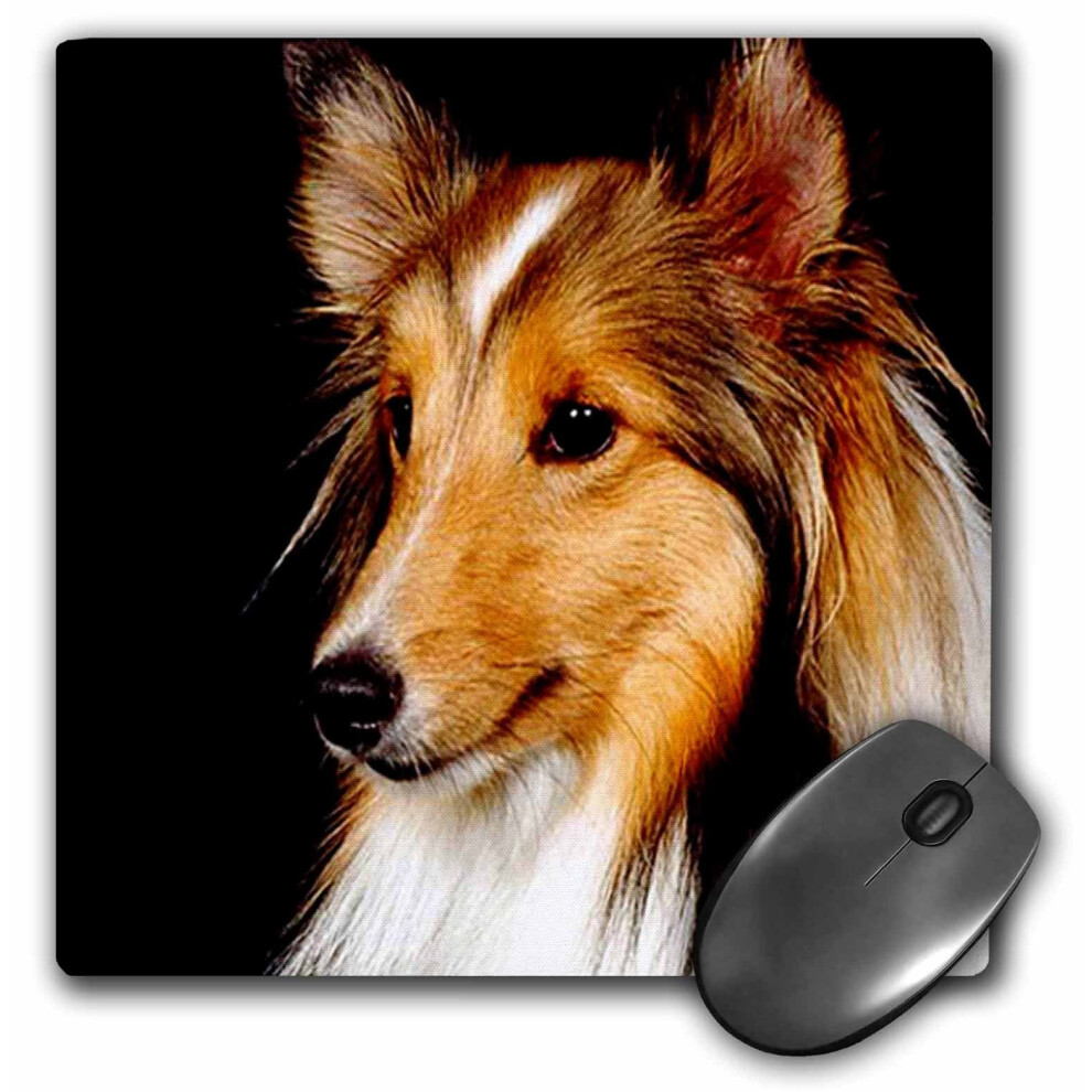 3Drose Llc 8 X 8 X 0.25 Inches Mouse Pad Sheltie Shetland Sheepdog (Mp_638_1) 489000638015