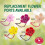 ??ast??? ta?st?a ????????? Perky-Pet Dew Drop 32 ??????? - 273 5