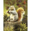 Folkmanis Gray Squirrel Hand Puppet  1 EA 4