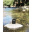 Herban Cowboy Cologne Dusk 1,7 ???? ?????? 3