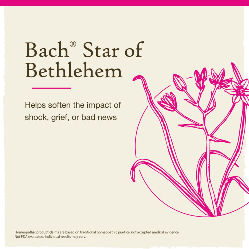 Bach Bach Star Of Bethlehem 20 Ml 2