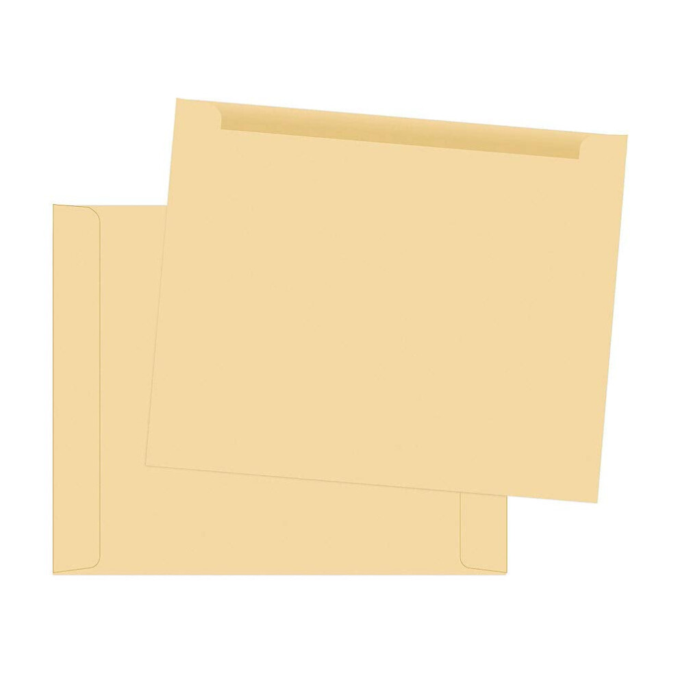 Photos - File Folder / Lever Arch File Park Quality  Filing Jacket 28 lbs 11-3/4 x 9-1/2 Inches 100 per Box Cameo Buff  Letter QUA63972 (QUA63972)