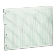 Wilson Jones G1020 ctovn listy, 20 stlpcov, 9-1/4 x 11-7/8, zelen (balenie 100 voln ch listov)