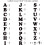 SEI 3/4-??ts?? s?de?????    p??????? Letters Chunky Letter Flock Te?   ?   etaf???? ?a??? 4