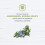 Avalon Organics Avalon Org 4