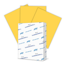 Farebn papier Hammermill 20 lb, papier do tlaciarne Goldenrod, 8,5 x 11-1 balenie (500 listov) - vyroben v USA, pastelov papier 103168R