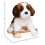 Douglas Peluche de perro San Bernardo Douglas Oma 2