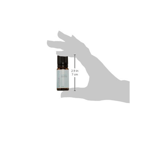 Mr. Steam 103810 Έλαιο Ευκάλυπτου 10 mL, Χωρίς Μέγεθος, Χωρίς Χρώμα 2